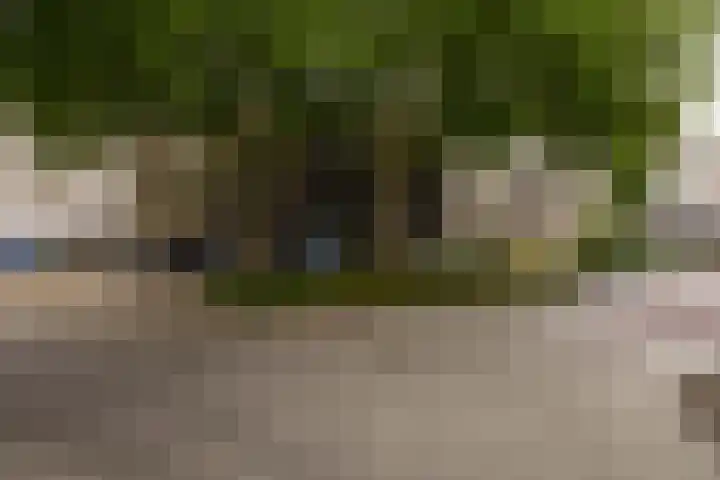 Filomeentje erf 94 Capelle aan den IJssel thumbnail 31