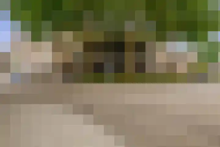 Filomeentje erf 94 Capelle aan den IJssel thumbnail 32
