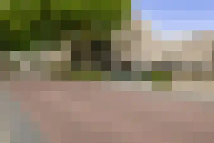 Filomeentje erf 94 Capelle aan den IJssel thumbnail 34