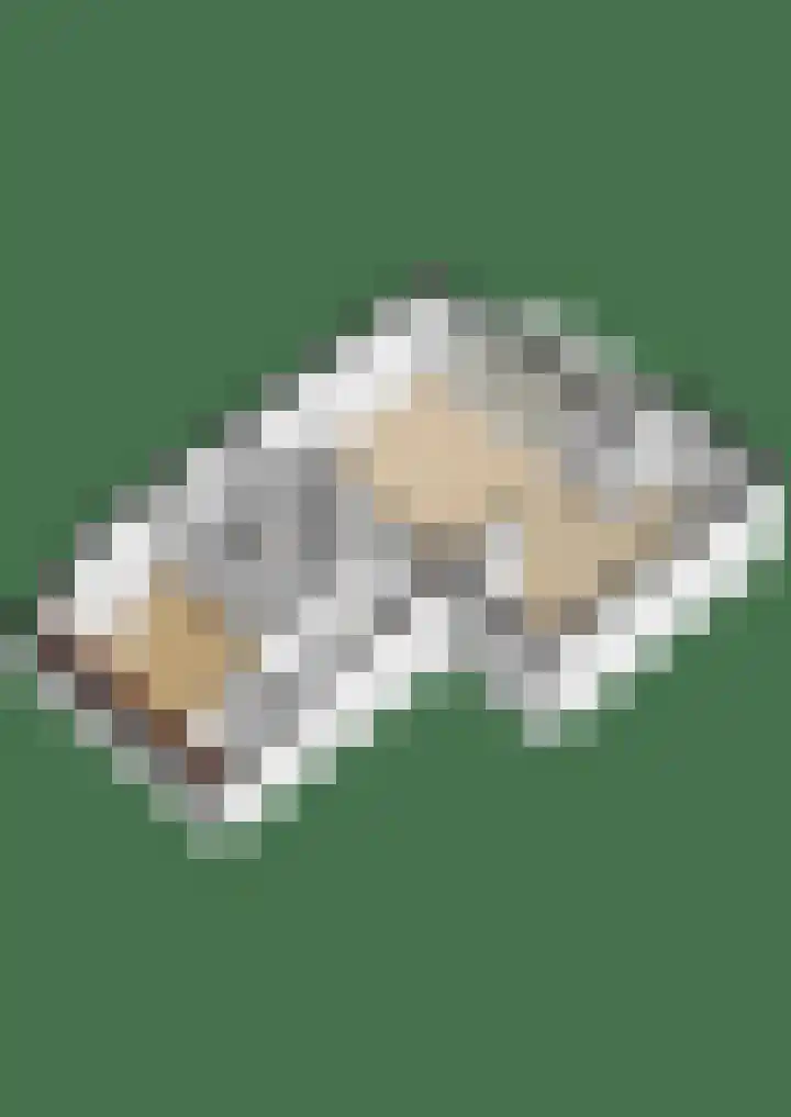 Filomeentje erf 94 Capelle aan den IJssel thumbnail 37
