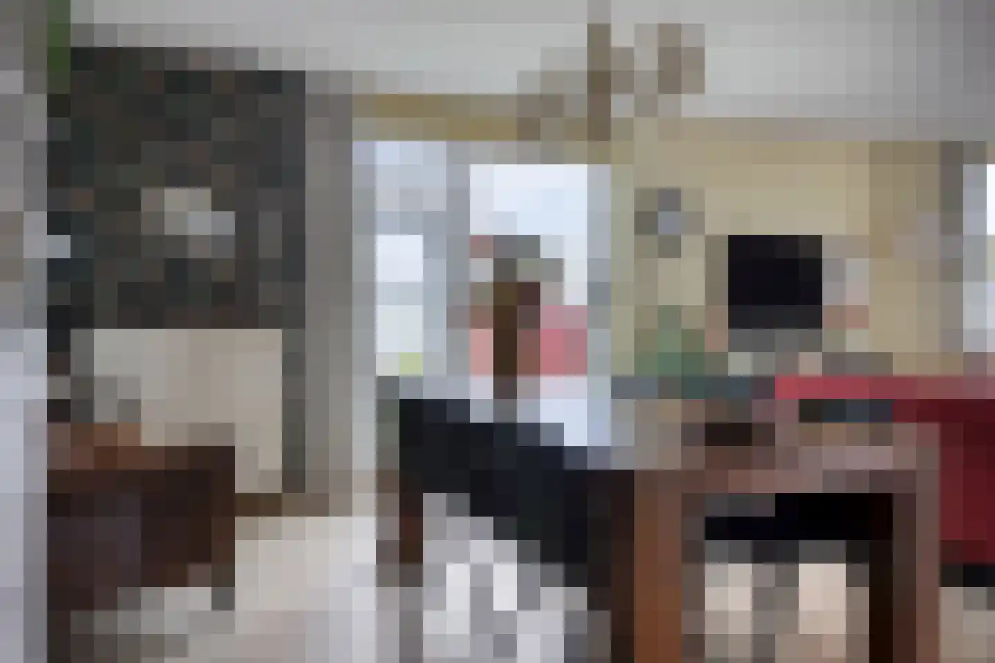 Filosofentuin 2 Capelle aan den IJssel thumbnail 29