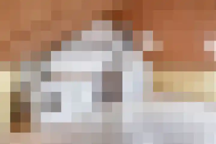 Filosofentuin 28 Capelle aan den IJssel thumbnail 26