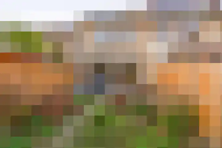 Filosofentuin 28 Capelle aan den IJssel thumbnail 30