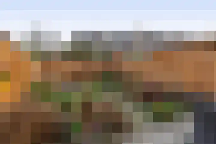 Filosofentuin 28 Capelle aan den IJssel thumbnail 31