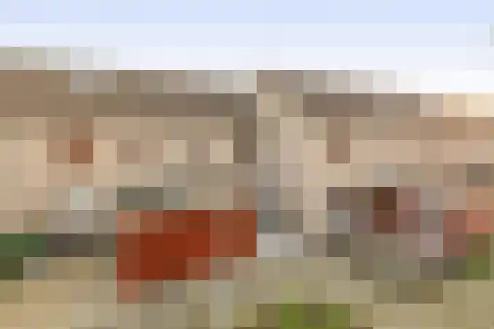 Filosofentuin 28 Capelle aan den IJssel thumbnail 36