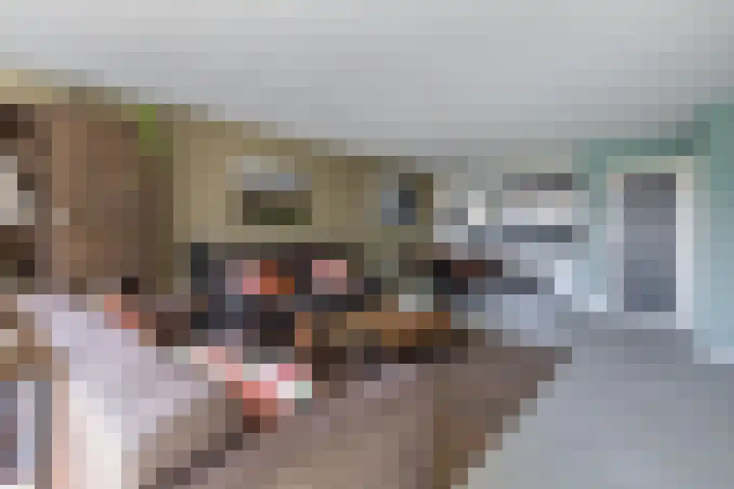 Filosofentuin 36 Capelle aan den IJssel thumbnail 13