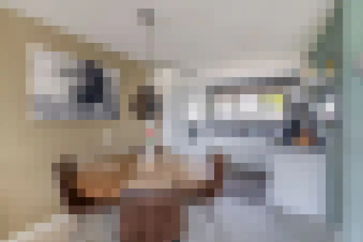 Filosofentuin 36 Capelle aan den IJssel thumbnail 15