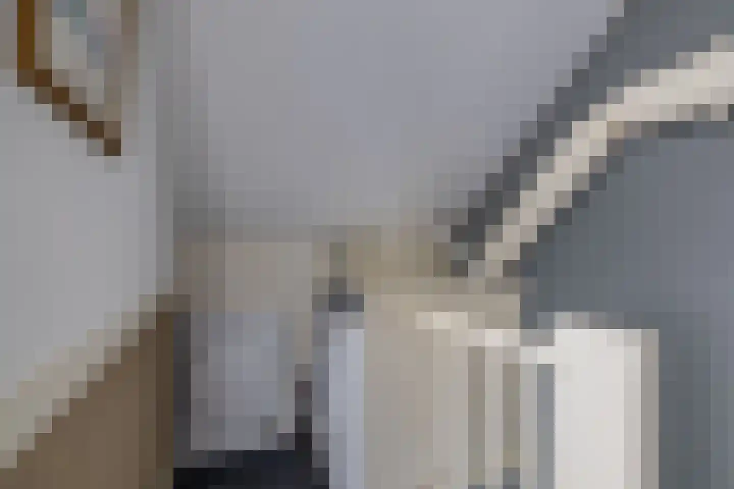 Filosofentuin 36 Capelle aan den IJssel thumbnail 29