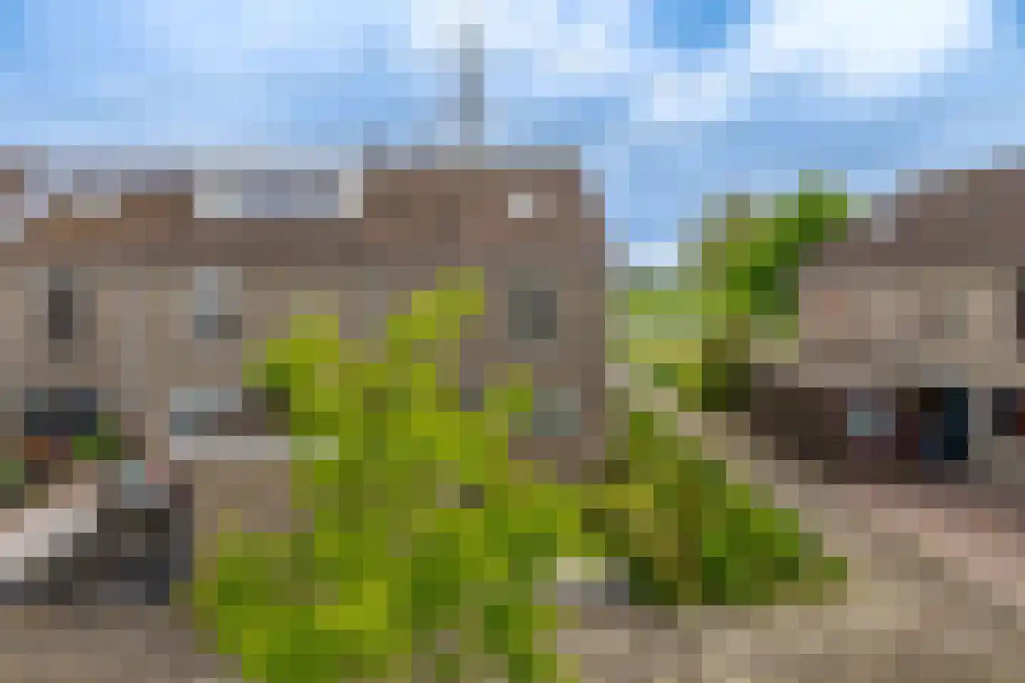 Filosofentuin 36 Capelle aan den IJssel thumbnail 40