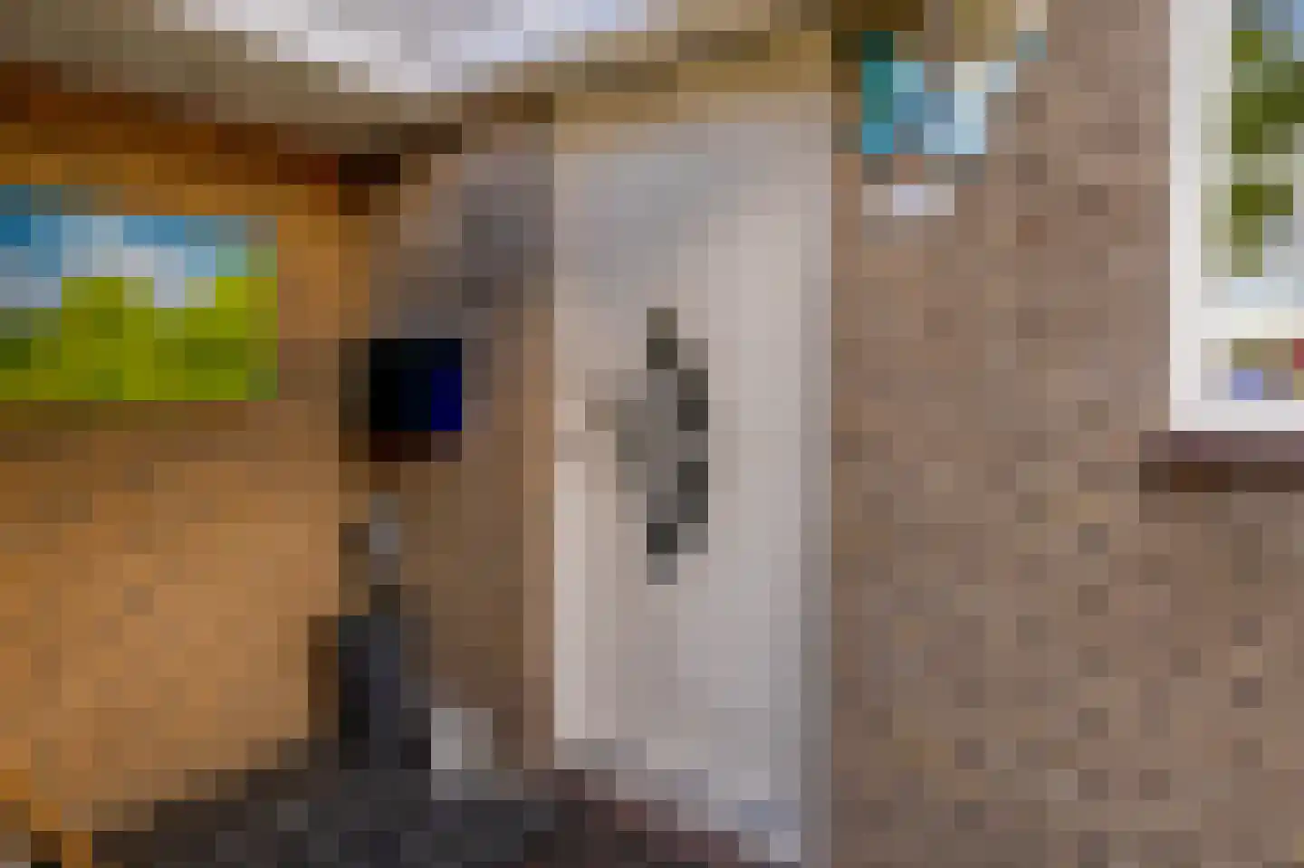 Filosofentuin 36 Capelle aan den IJssel thumbnail 8