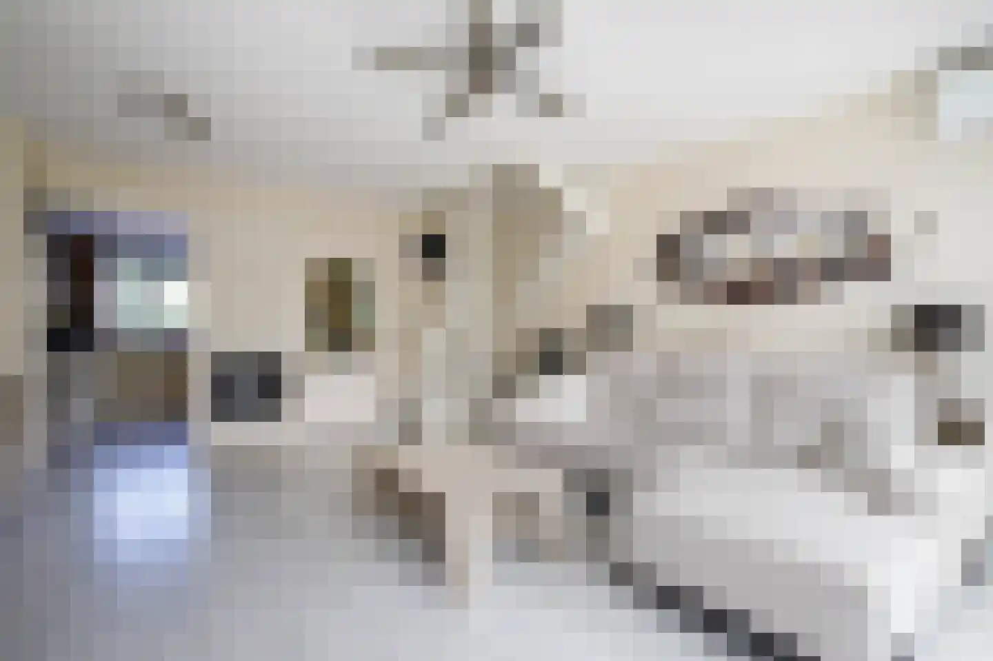 Filosofentuin 47 Capelle aan den IJssel thumbnail 10