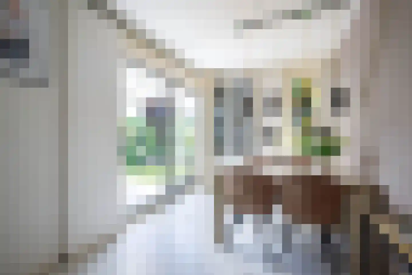 Filosofentuin 47 Capelle aan den IJssel thumbnail 11