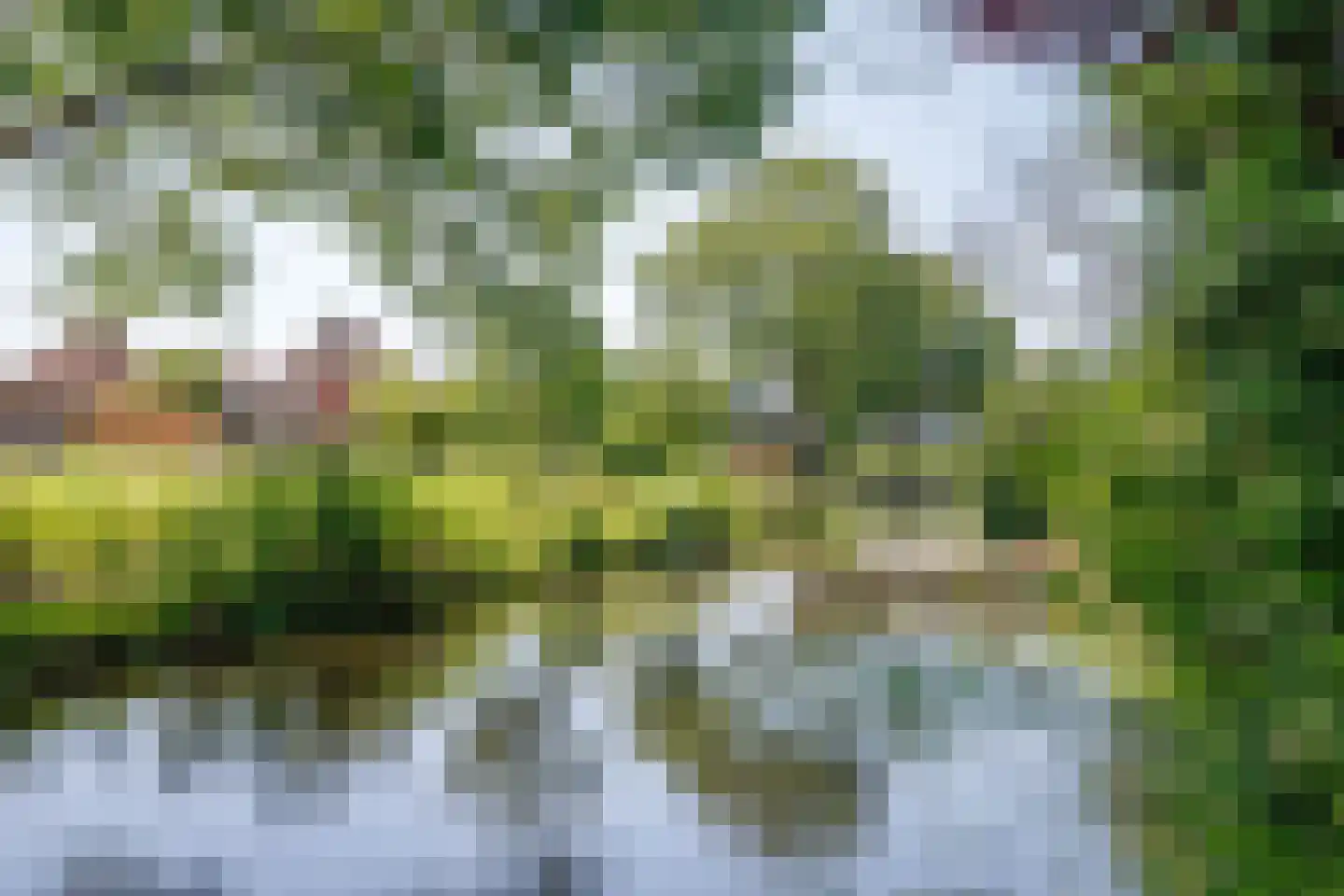 Filosofentuin 47 Capelle aan den IJssel thumbnail 34