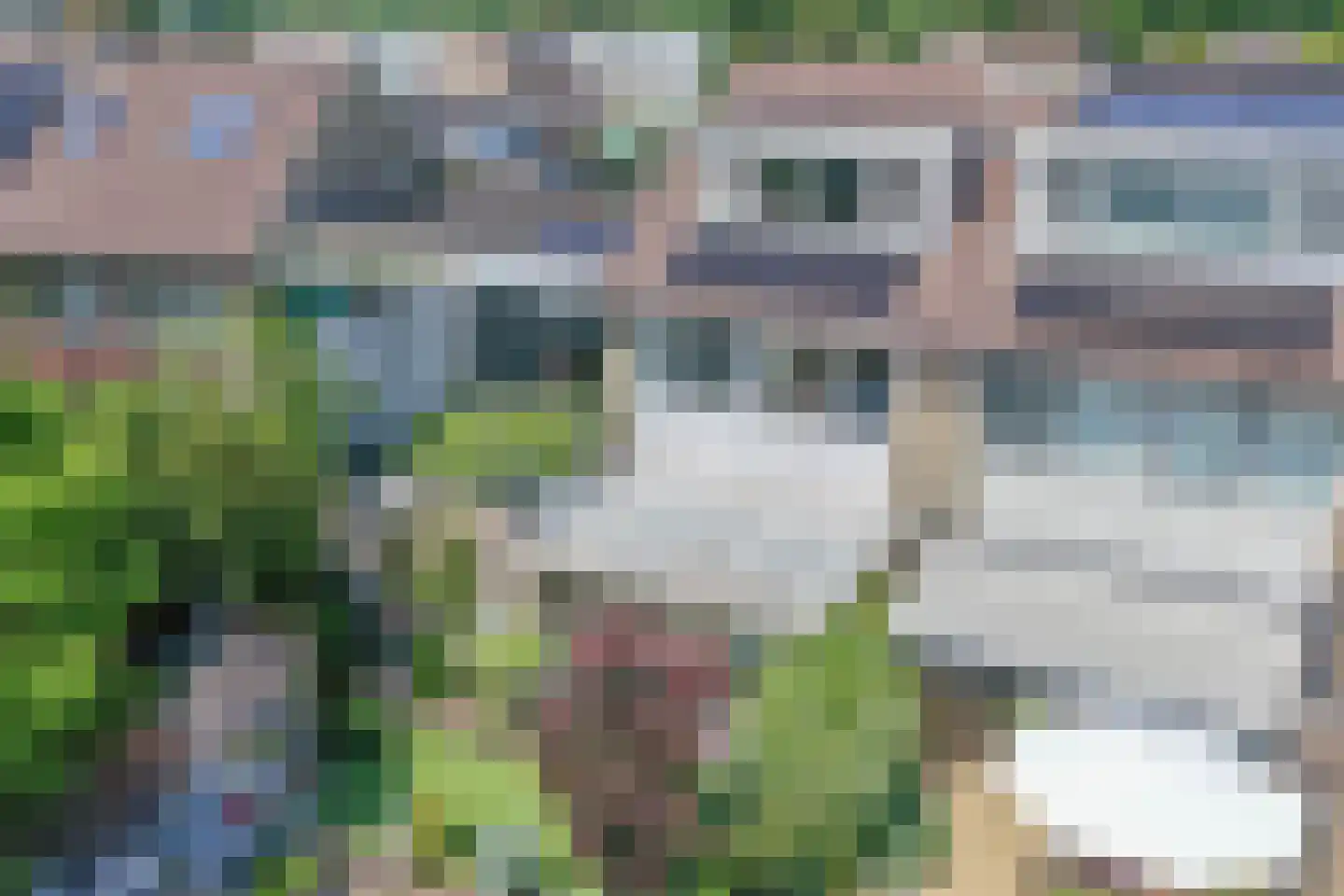 Filosofentuin 47 Capelle aan den IJssel thumbnail 35