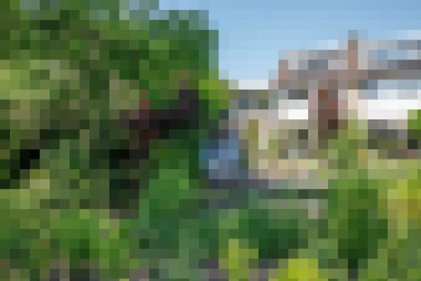 Filosofentuin 47 Capelle aan den IJssel thumbnail 37