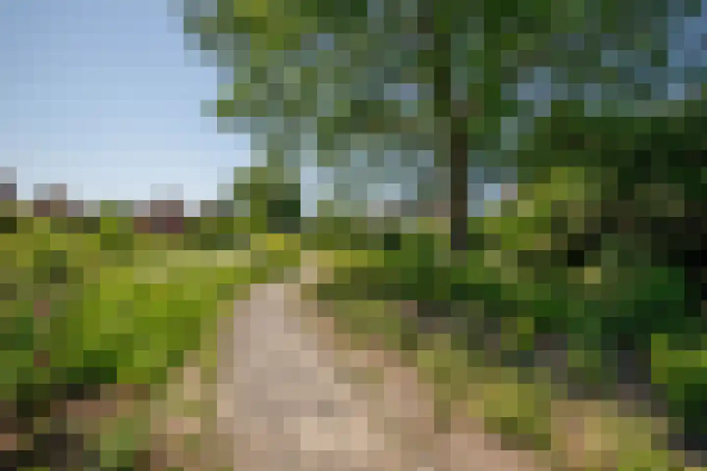 Filosofentuin 47 Capelle aan den IJssel thumbnail 38