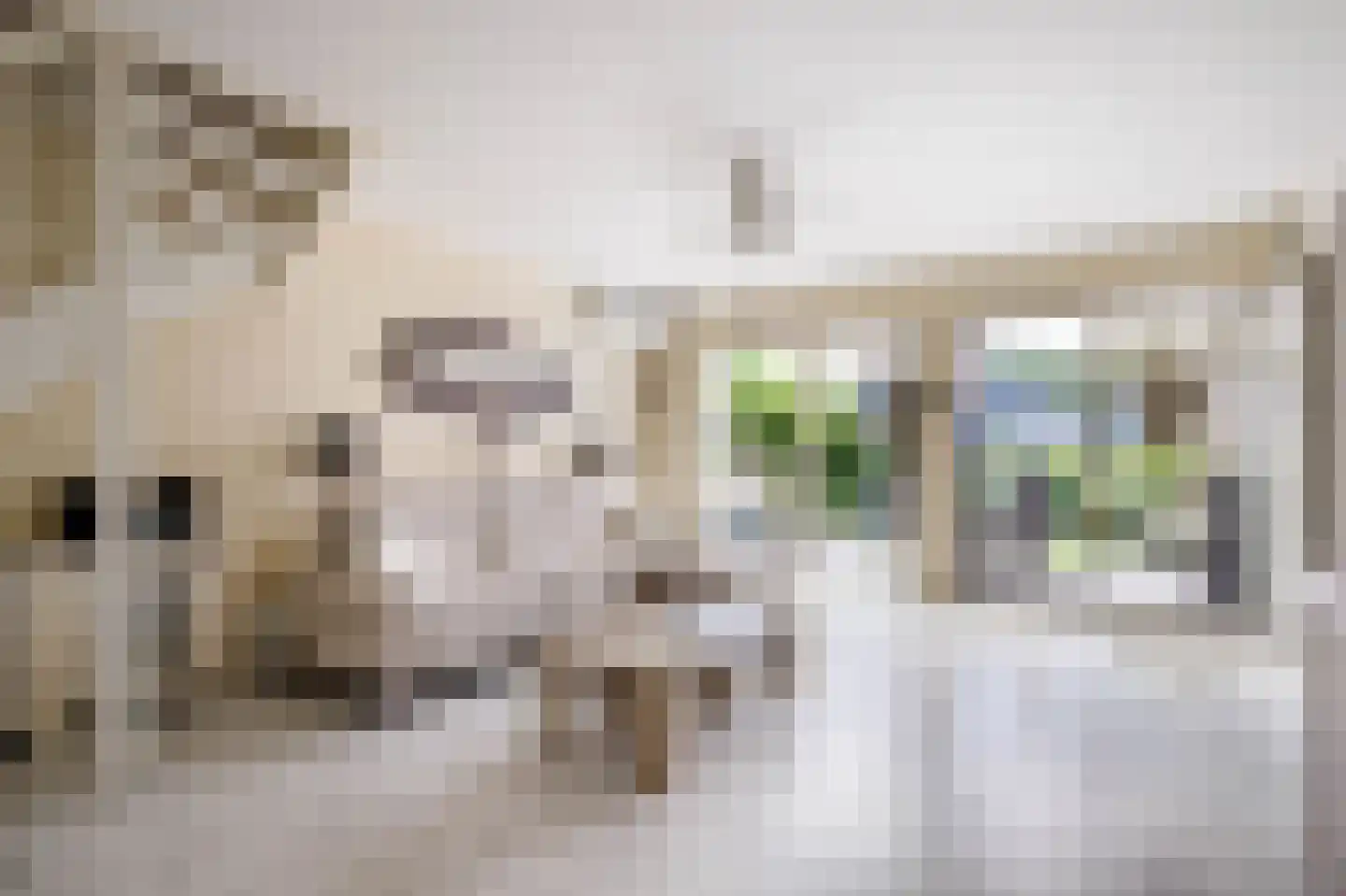 Filosofentuin 47 Capelle aan den IJssel thumbnail 7