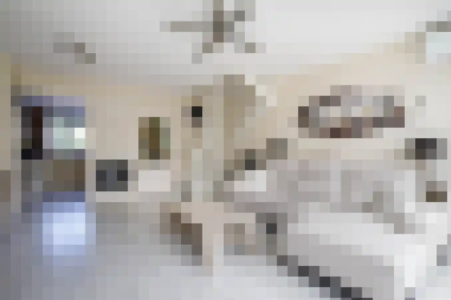 Filosofentuin 47 Capelle aan den IJssel thumbnail 8