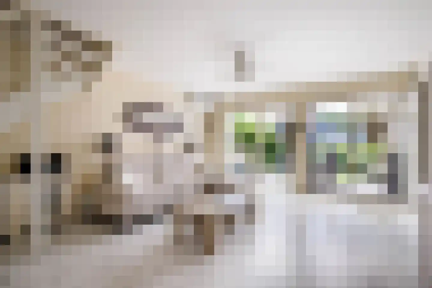 Filosofentuin 47 Capelle aan den IJssel thumbnail 9