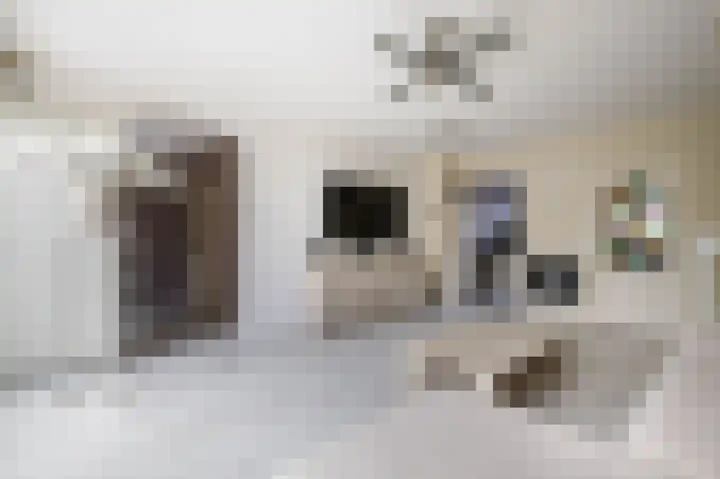 Filosofentuin 47 Capelle aan den IJssel thumbnail 9