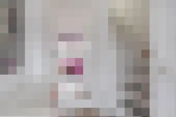 Filosofentuin 50 Capelle aan den IJssel thumbnail 10