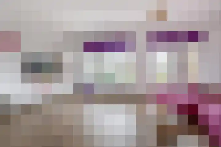 Filosofentuin 50 Capelle aan den IJssel thumbnail 12