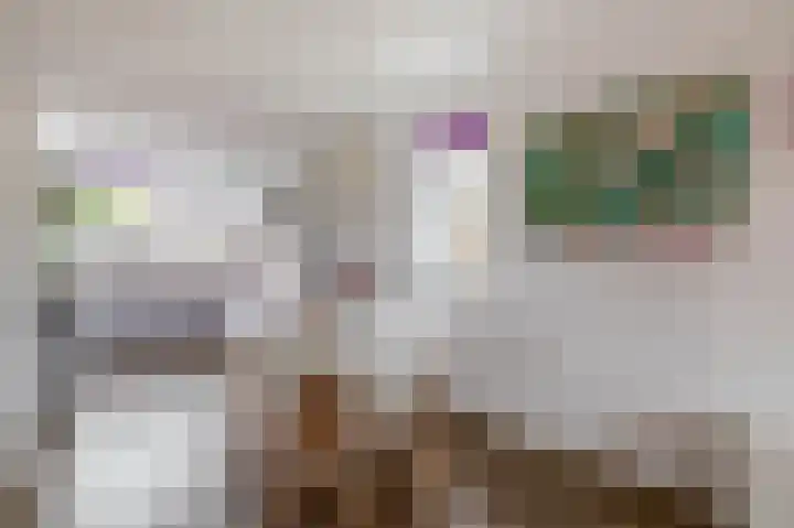 Filosofentuin 50 Capelle aan den IJssel thumbnail 17