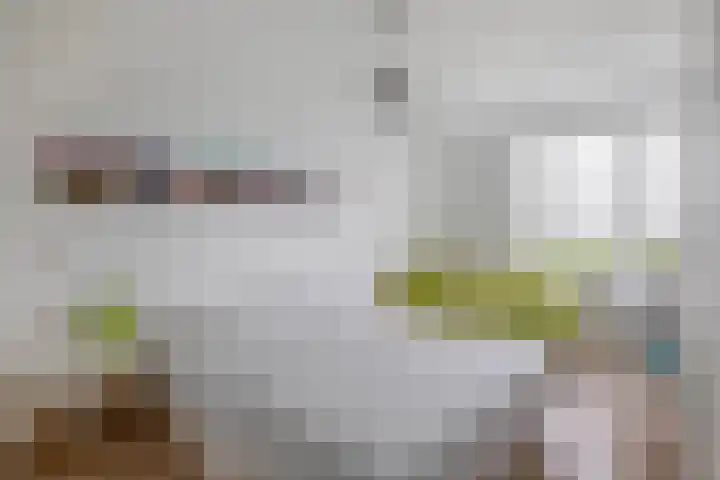 Filosofentuin 50 Capelle aan den IJssel thumbnail 24