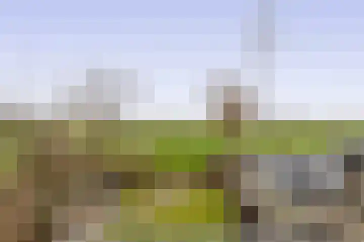 Filosofentuin 50 Capelle aan den IJssel thumbnail 26