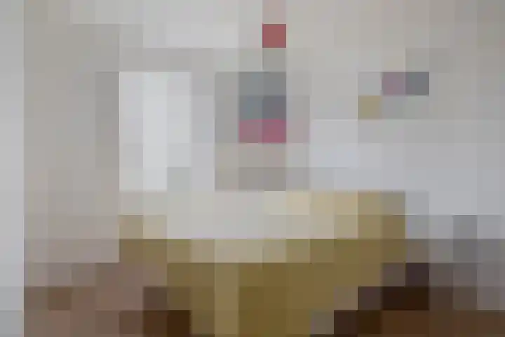 Filosofentuin 50 Capelle aan den IJssel thumbnail 30