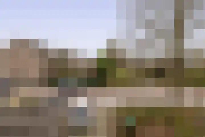 Filosofentuin 50 Capelle aan den IJssel thumbnail 31