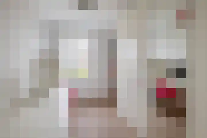 Filosofentuin 50 Capelle aan den IJssel thumbnail 32