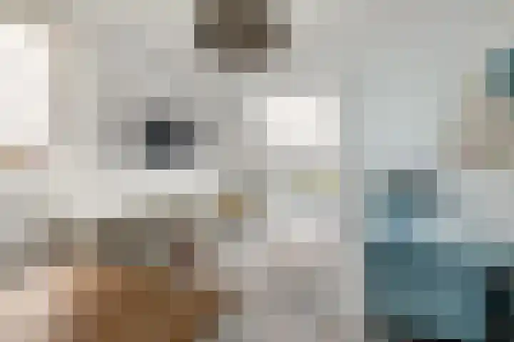 Filosofentuin 50 Capelle aan den IJssel thumbnail 35