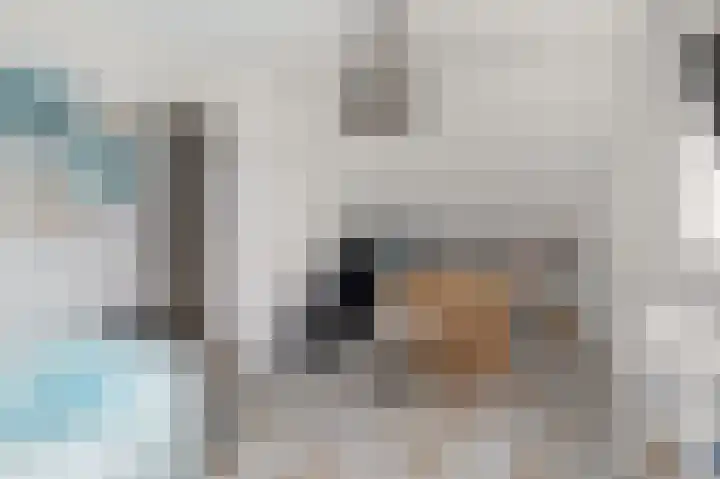 Filosofentuin 50 Capelle aan den IJssel thumbnail 36