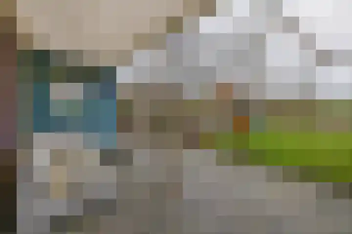 Filosofentuin 50 Capelle aan den IJssel thumbnail 37