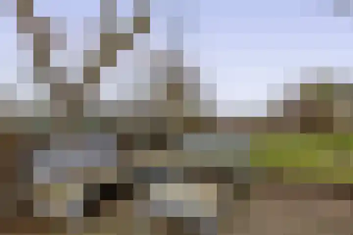 Filosofentuin 50 Capelle aan den IJssel thumbnail 41