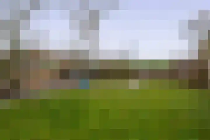 Filosofentuin 50 Capelle aan den IJssel thumbnail 44