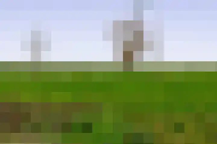 Filosofentuin 50 Capelle aan den IJssel thumbnail 46