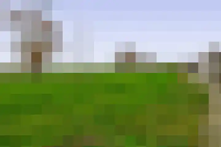 Filosofentuin 50 Capelle aan den IJssel thumbnail 47