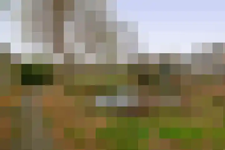 Filosofentuin 50 Capelle aan den IJssel thumbnail 50