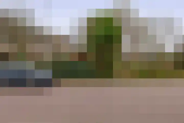 Filosofentuin 50 Capelle aan den IJssel thumbnail 51