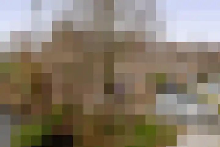 Filosofentuin 50 Capelle aan den IJssel thumbnail 53