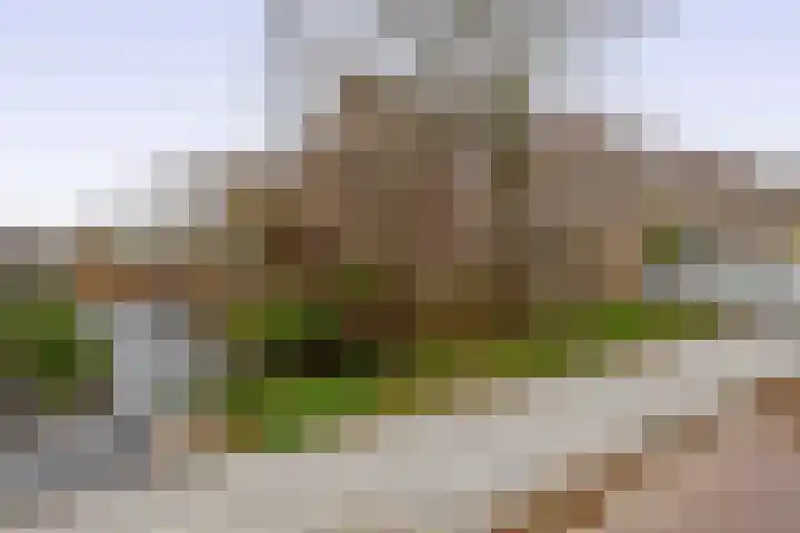 Filosofentuin 50 Capelle aan den IJssel thumbnail 6