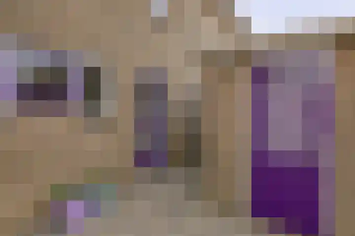 Filosofentuin 50 Capelle aan den IJssel thumbnail 7