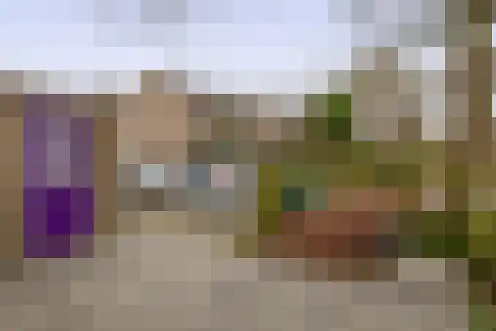 Filosofentuin 50 Capelle aan den IJssel thumbnail 8