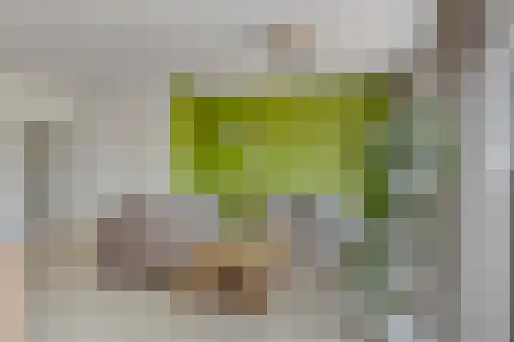 Filosofentuin 56 Capelle aan den IJssel thumbnail 11