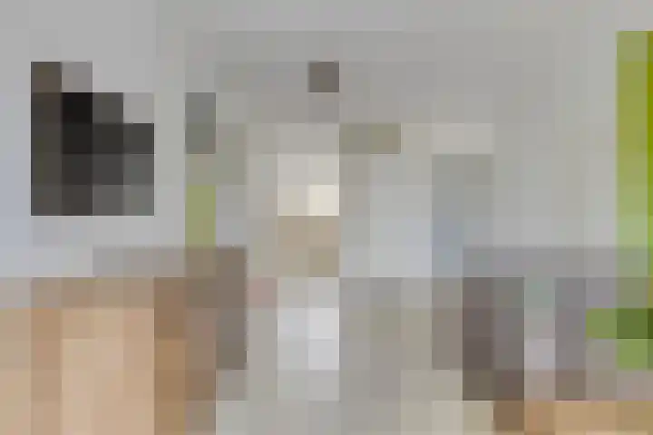 Filosofentuin 56 Capelle aan den IJssel thumbnail 12