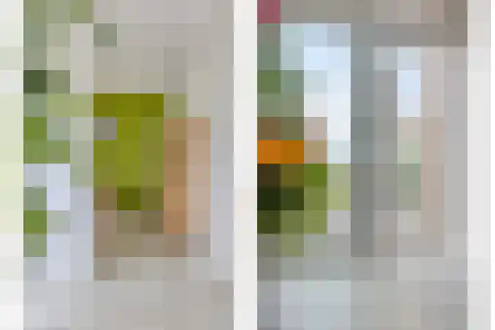 Filosofentuin 56 Capelle aan den IJssel thumbnail 13