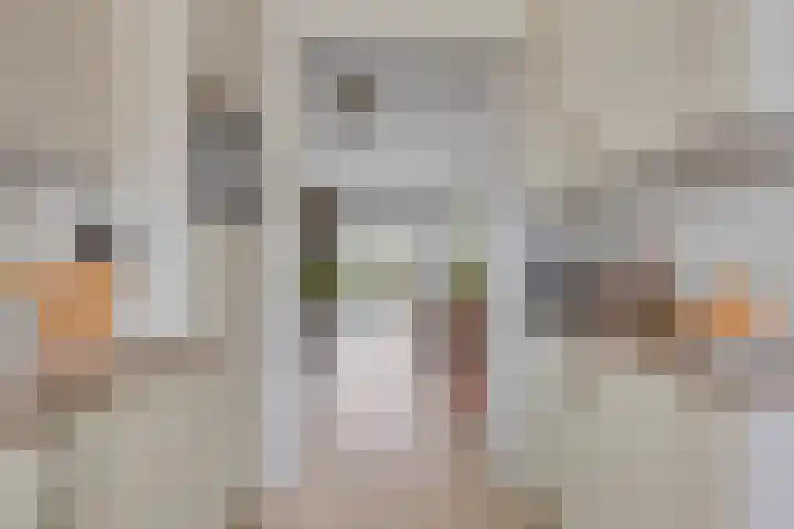 Filosofentuin 56 Capelle aan den IJssel thumbnail 17