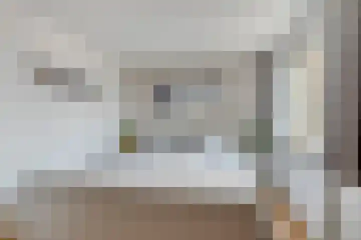 Filosofentuin 56 Capelle aan den IJssel thumbnail 19